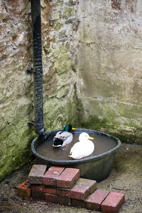Clive Bowen in his pottery 2016